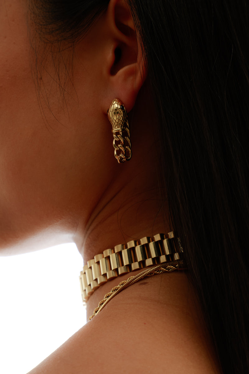 Snake Chain Earrings - Queen&Collection