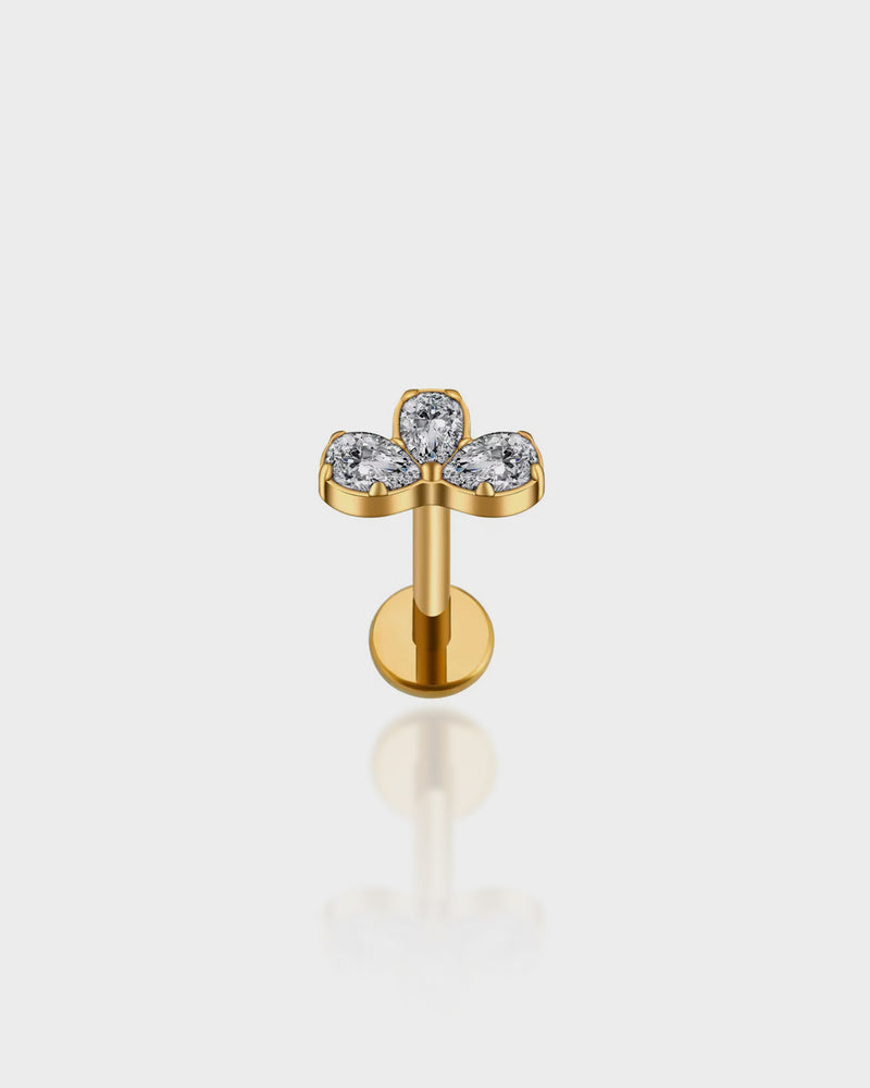 Cosmos Stud - Queen&Collection