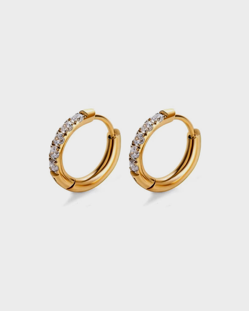 Oasis Earrings - Queen&Collection