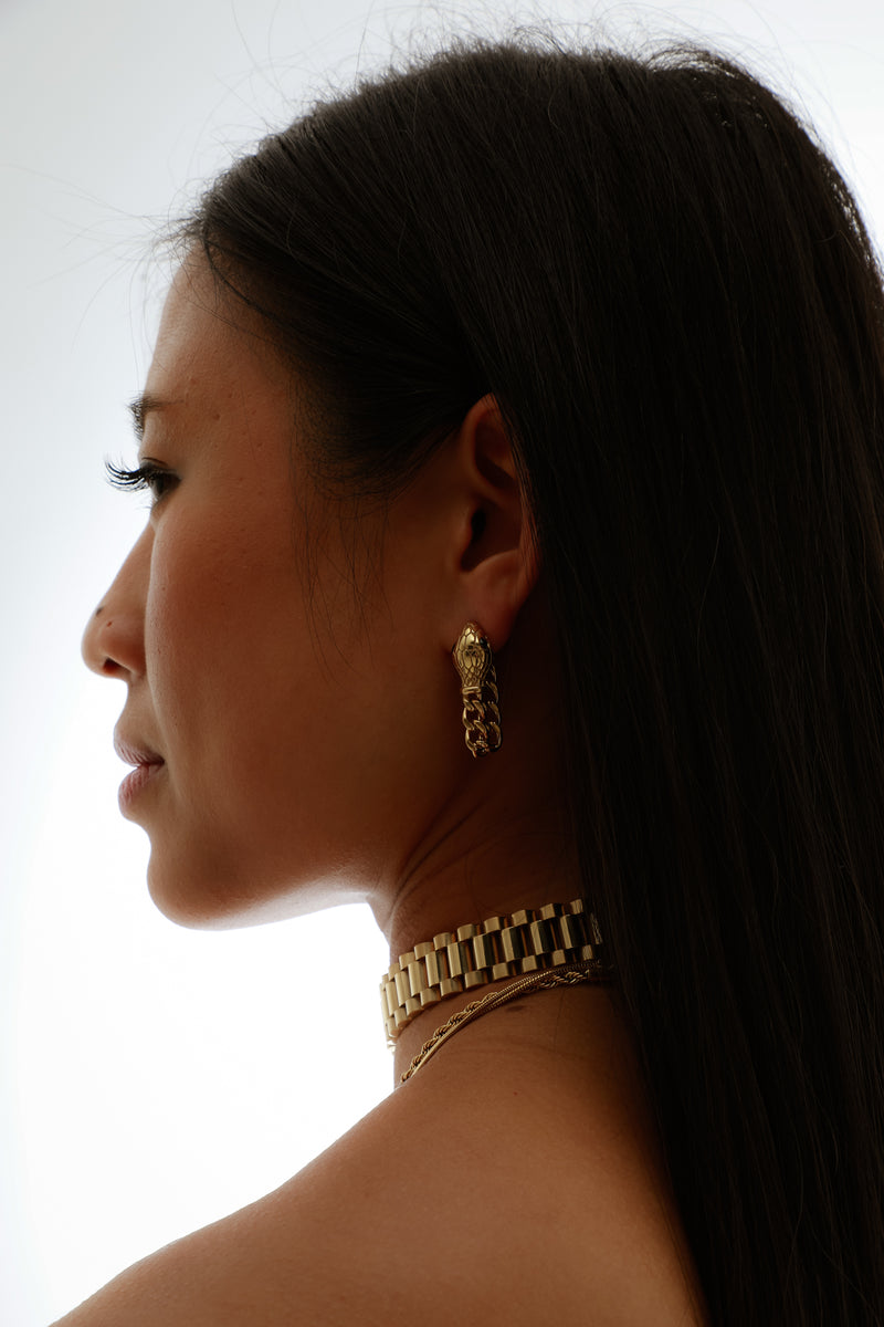 Snake Chain Earrings - Queen&Collection